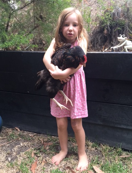 chook-girl-texta